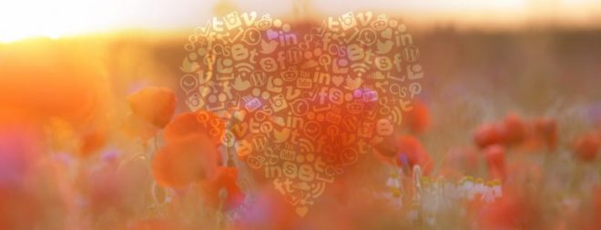 Herz in Form von Icons mit Blumenfeld als Hintergrund als Symbol für Aussagen von Bloggern zur Liebe