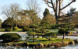 Singles in Düsseldorf - Japanischer Garten