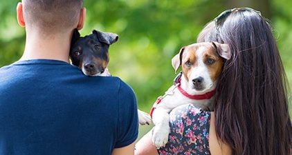 Partnerwahl: Mann und Frau mit zwei Hunden von hinten