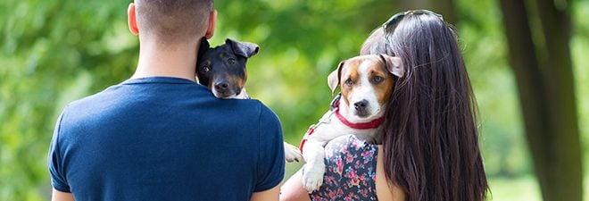 Partnerwahl: Mann und Frau mit zwei Hunden von hinten
