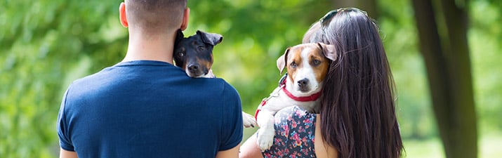 Mann und Frau mit jeweils einem Hund auf dem Arm, von hinten