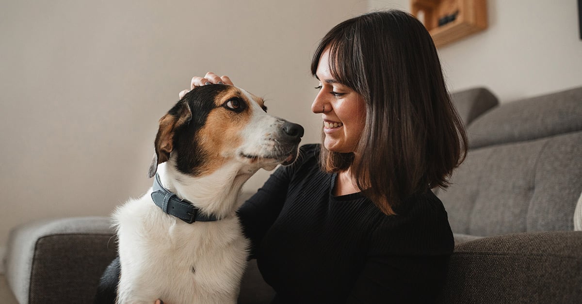 Frau streichelt einen weißen Hund mit braunen Flecken. Beide sitzen auf einem Sofa. 