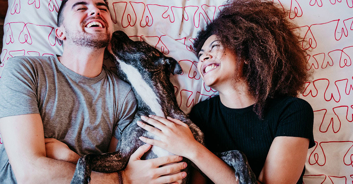 Mann und Frau liegen lachend auf Bett, zwischen ihnen ein Hund